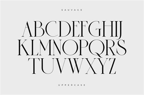 sauvage elegant font